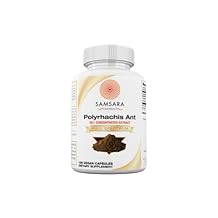 Samsara Herbs Polyrhachis Black Ant Extract Powder - 20:1 Concentrated Extract (4oz/114g)