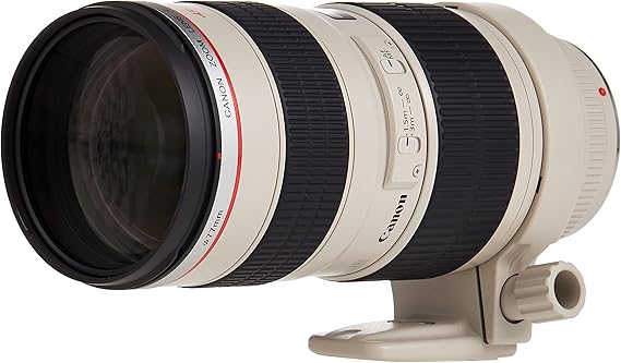 Canon EF 70-200mm f/2.8L USM Telephoto Zoom Lens for SLR Cameras, Black