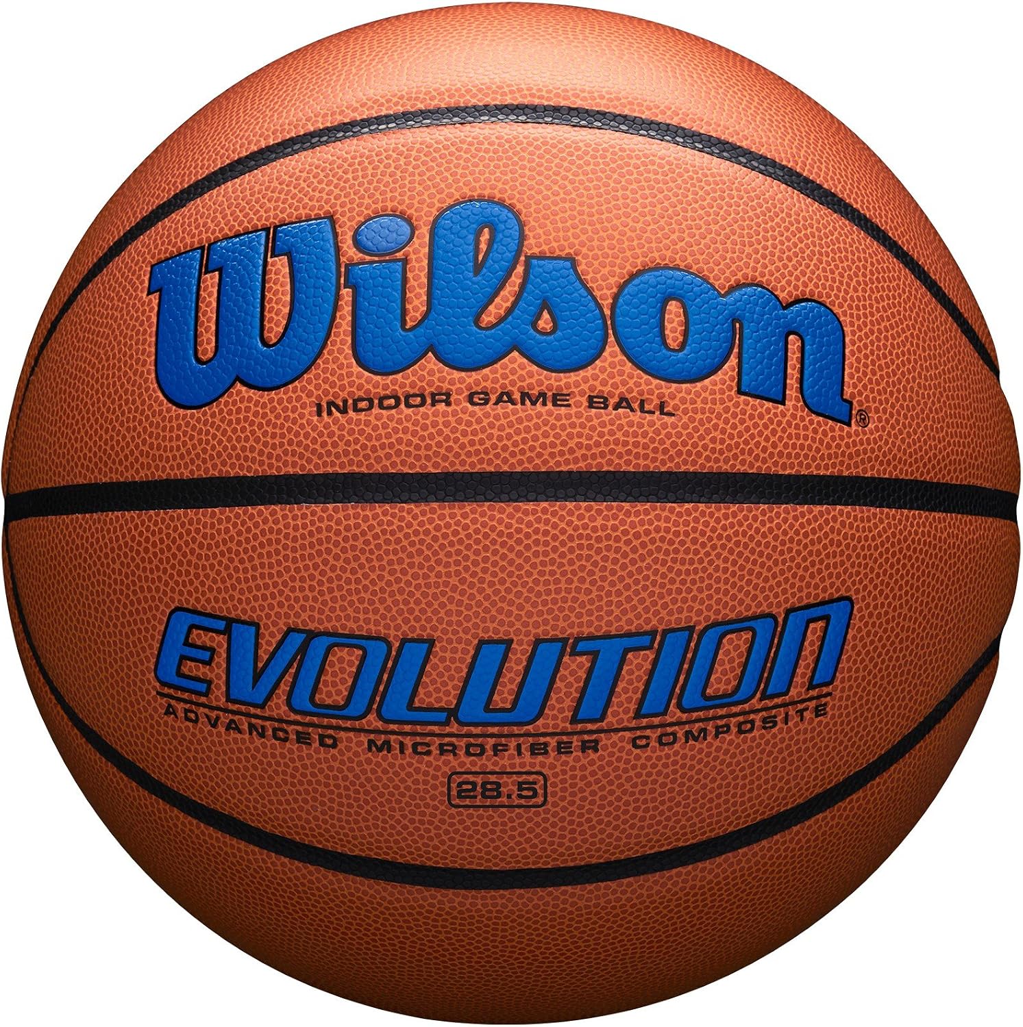 Wilson Evolution Game Basketball